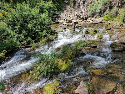 Paris Springs Campground