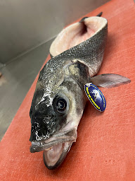 Photo n°50 de Poissonnerie Marie & Donatien à Thonon-les-Bains (Poissonnerie)