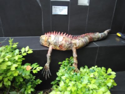 Photos of Miguel Illescas Art Gallery