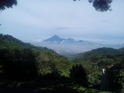 Photos of Hotel el Bosque