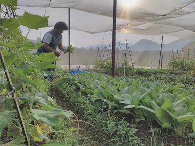 Photos of Kebun Percobaan Ciparanje Universitas Padjadjaran