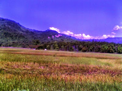 Photos of Barek Tila