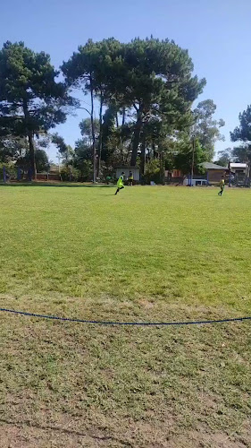 Medanos Futbol Infantil
