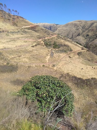 Photos of ES Colomi