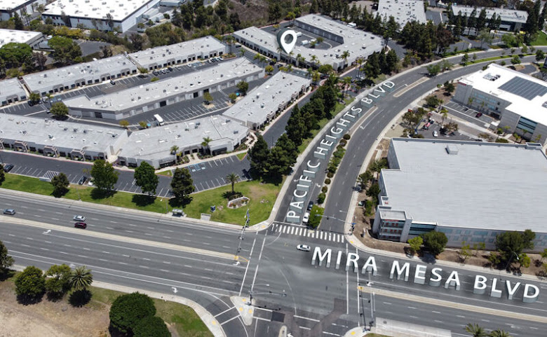 LOULOU DAMOUR by null