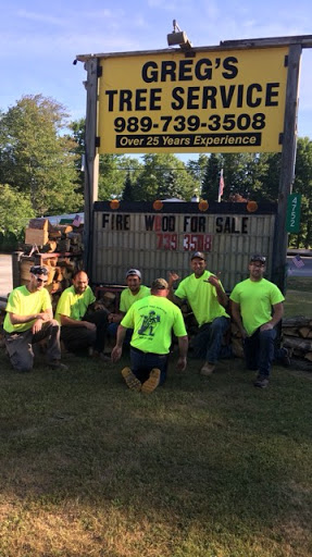 Greg's Tree Services - Visual