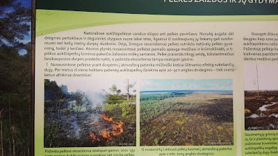 Photos of Trail to Auk&scaron;tumala
