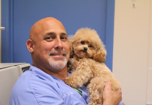 River Bridge Animal Hospital