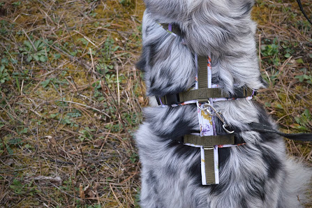 Zum Glück - Hunde Steinig 227a, 6574 Pettneu am Arlberg, Österreich