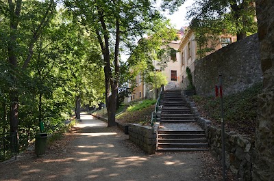 Photos of Info Tabor City