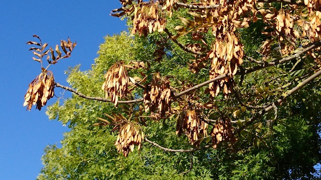 Parc Raspail