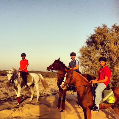 Photos of Mushrif Equestrian Club