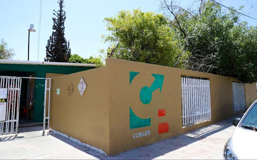 COBAED 02 LERDO - Visual