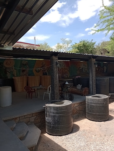Coahuilotla - Visual