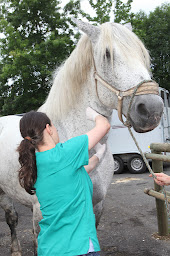 Photo n°5 de Clinique Vétérinaire de la Prairie à Saint-Amand-Montrond (Clinique)