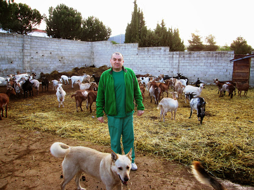 Centro Veterinario Alhama
