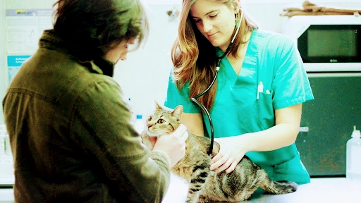 Centro Veterinario Eurocan Guadarrama