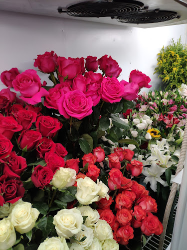 Comentarii opinii despre Ανθοπωλείο - The Garden