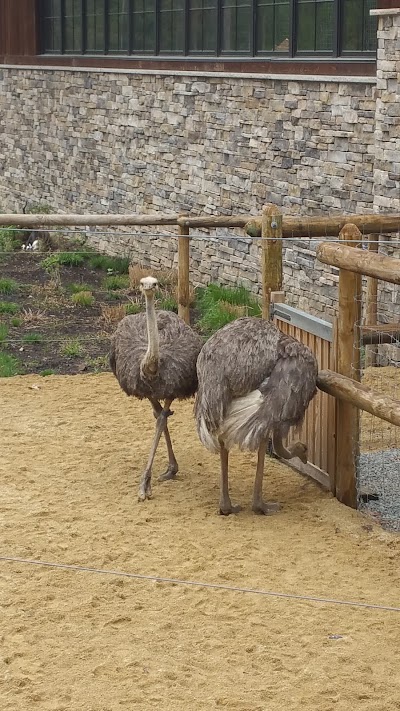 Photos of Zoological Society of NJ