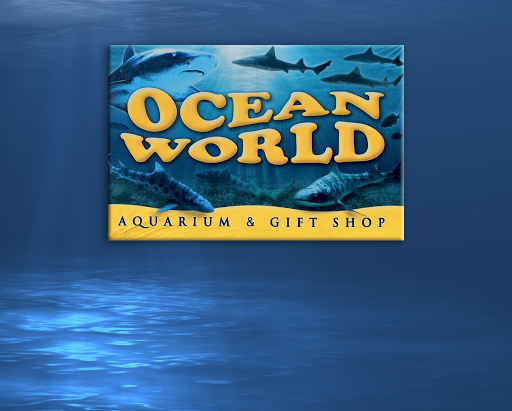 Ocean World - Visual