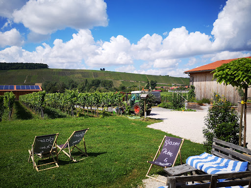 Weingut Glaser - Visual