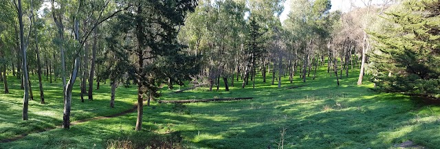 Santuario di Santa Rosalia