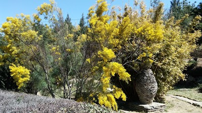 Photos of Royal Botanical Garden