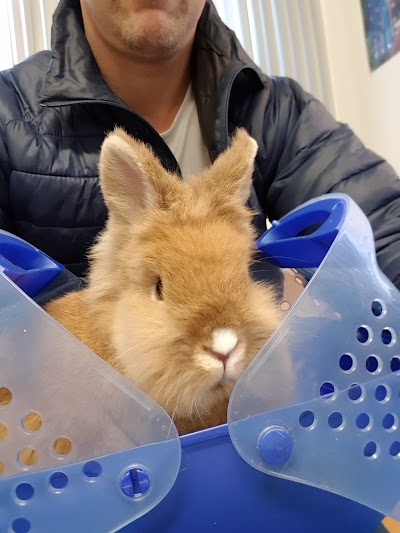 Photos of Clinic for animals Woerden