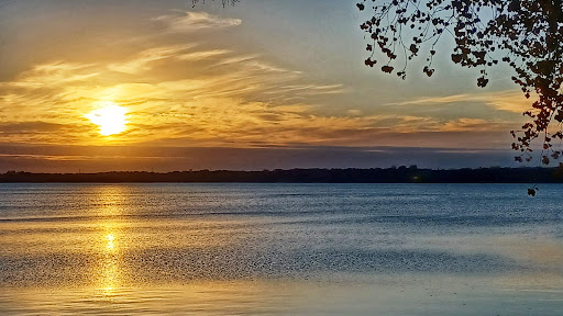 Sturges Park - Thumbnail