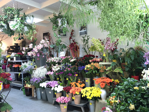 Blumenfee Le Lan