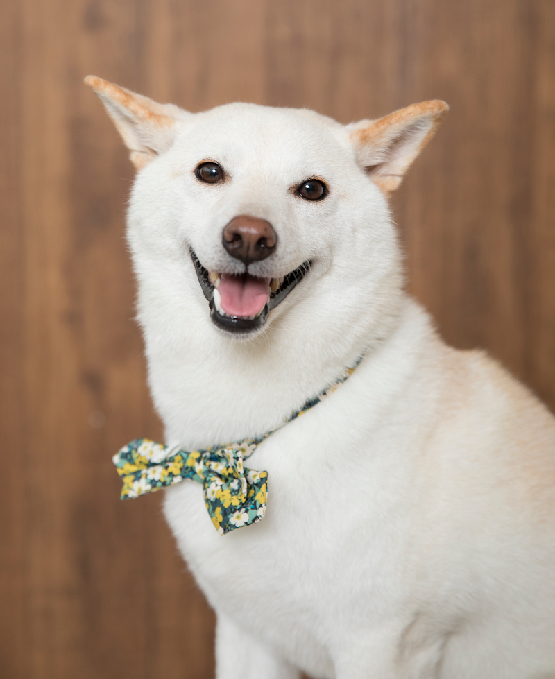 Day by Day studio&space 写真館