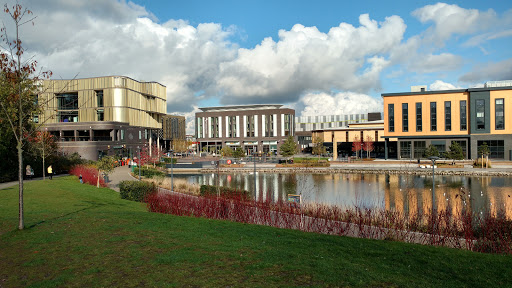 Telford Town Park - Thumbnail