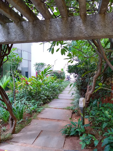 Af1qipobl8l8pew Wcw 1keritjk Gsfmkgrni Ne4pa=s508 K No