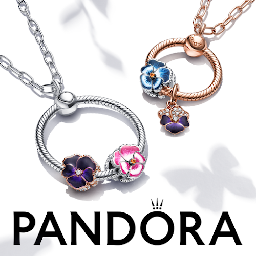 HOY Trendjuwelier - PANDORA - Juwelier