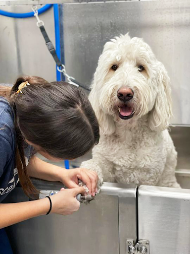 Scenthound Millhopper