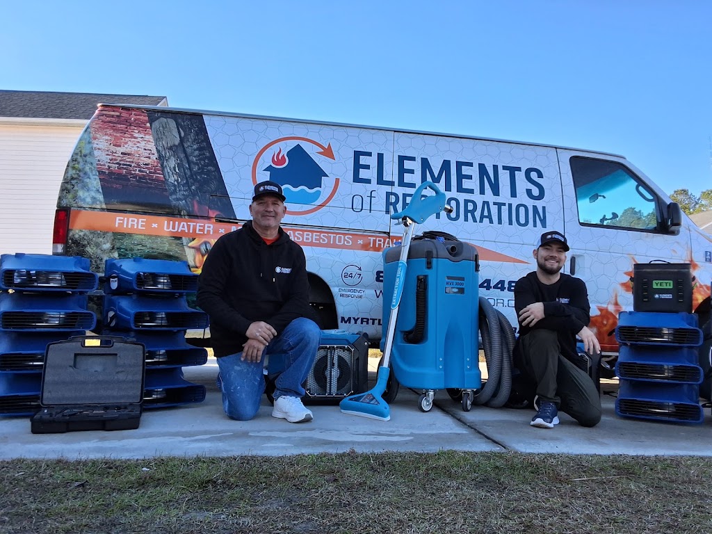 Elements of Restoration Myrtle Beach photo