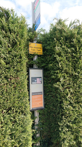 Garden Centre - Visual