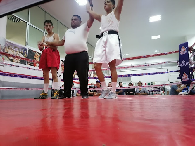 Escuela Cubana De Boxeo Baro