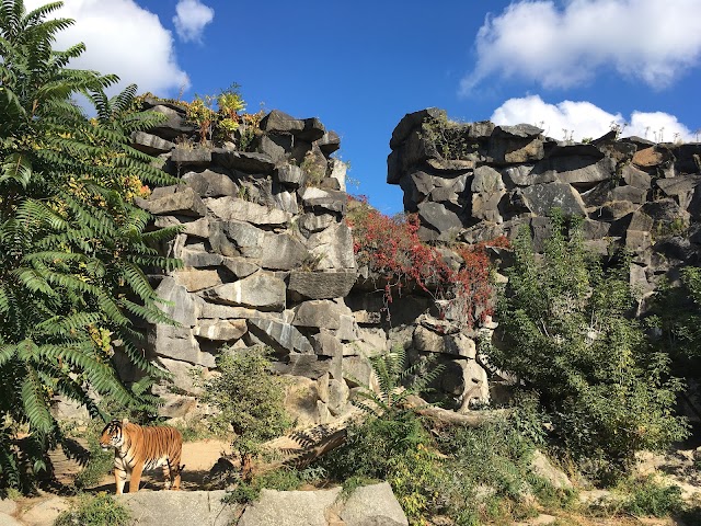 Tierpark Berlin