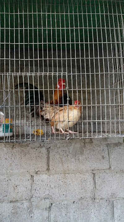 Photos of "Coop. Virgen Del Cisne" Park