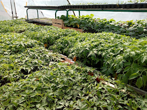 Photo n°7 de Cercle Laïque Dijonnais - Micro Ferme Urbaine à Corcelles-les-Monts (Association d'écologistes)