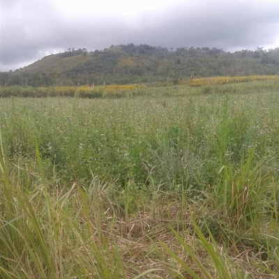 Photos of Don San