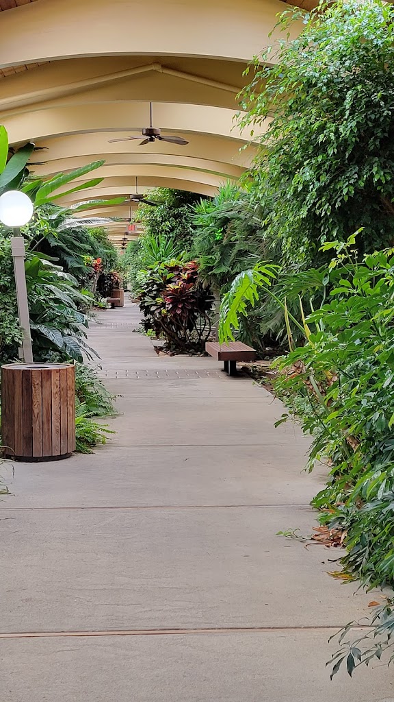 Carolina Heart Center