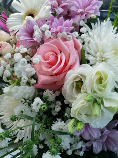 St Cyr Fleurs - Thumbnail