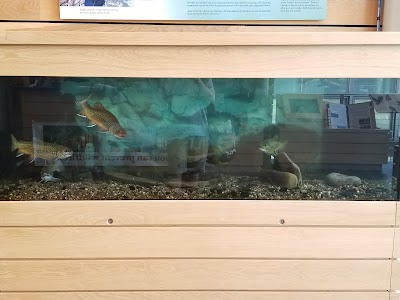 Aquarium Management Systems