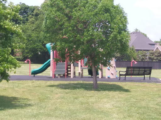 David Lashley Park Gallery - United States