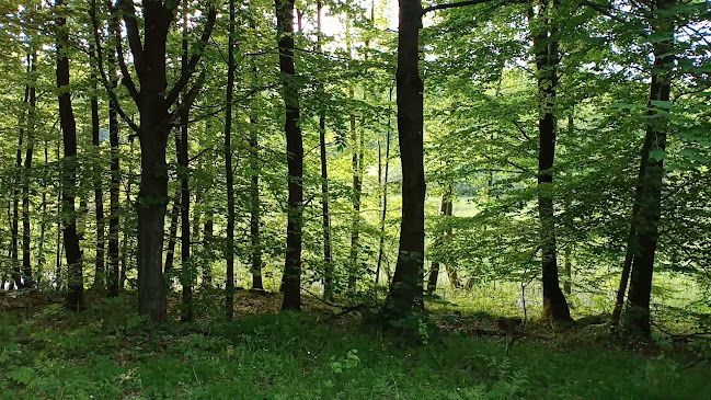 Nadleśnictwo Kartuzy