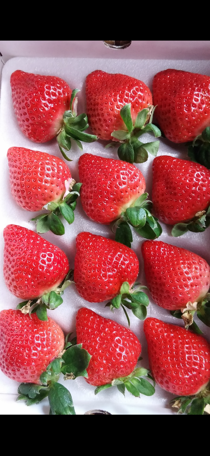 咲夢ファームやまうら