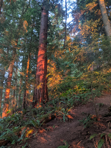 Cal Magnuson Trail - Thumbnail
