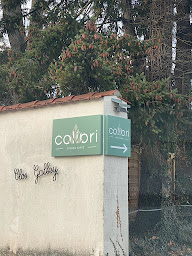 Photo n°6 de Judith LAVAIRE à Saint-Galmier (Ostéopathe)